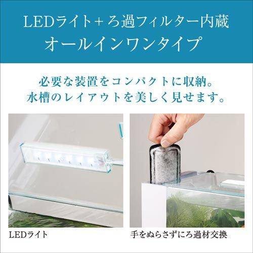 とりあえずお湯わかせ EASTBEE ドレッシング ライト シーザー 1L ( シーザー