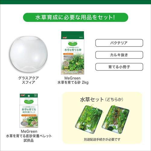 MeGreen 新鮮な水草付き グラスアクアスフィアセット ( 1個 ) : 爽快