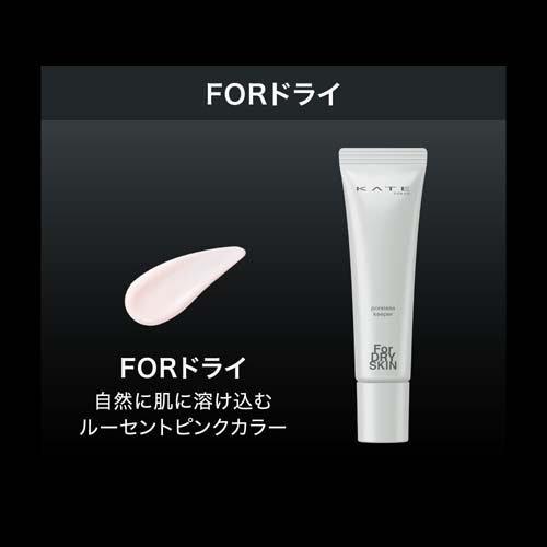 ケイト ポアレスキーパー FORドライ ( 25g )/ KATE(ケイト) 下地 化粧