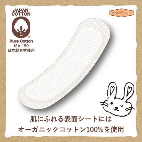 オーガニック コットンナプキン ふつうの日用 羽なし 25.5cm ( 16個入