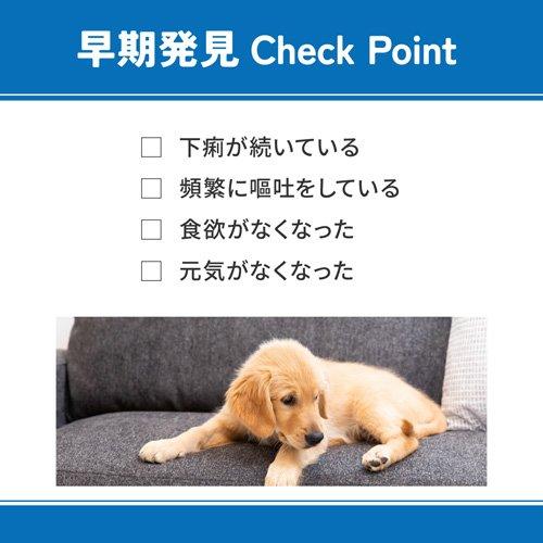 ベッツウェル 犬用食事療法食 消化器ケア 低脂肪 ( 3kg )/ : 爽快