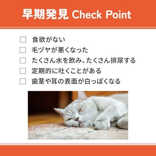 ベッツウェル 猫用食事療法食 腎臓ケア ( 2kg )/ : 爽快ドラッグ