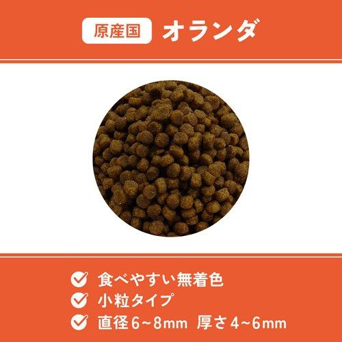 ベッツウェル 猫用食事療法食 下部尿路ケア ( 500g )/ : 爽快ドラッグ