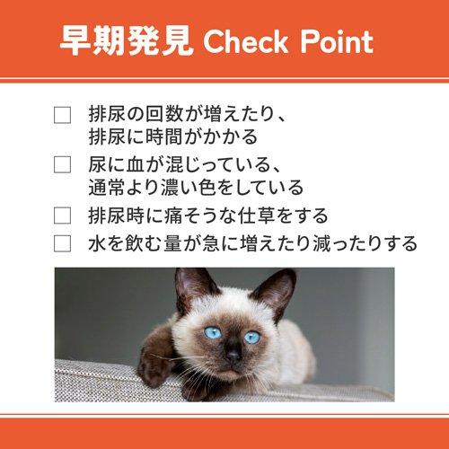 ベッツウェル 猫用食事療法食 下部尿路ケア ( 500g )/ : 爽快ドラッグ