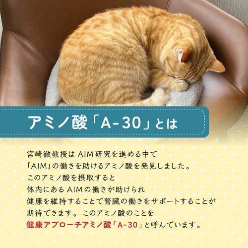 AIM30 室内成猫用 健康な尿路・毛玉ケア チキン ( 1.2kg )/ AIM30