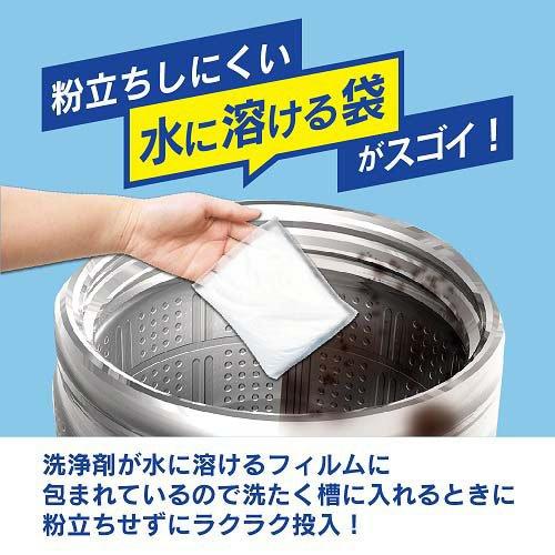 電響社 電器屋さんが考えた洗濯槽クリーナー DGW-C01 ( 2回分