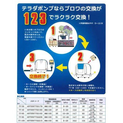 寺田 ブロワポンプ 浄化槽用電磁式エアーポンプ 低騒音 アース工事不要 TY-60 35W ( 1台 )/ 寺田の画像