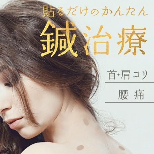 マジコ 鍼治療用具・ひ針 518400 ( 24針入 )/ マジコ(magico) : 爽快