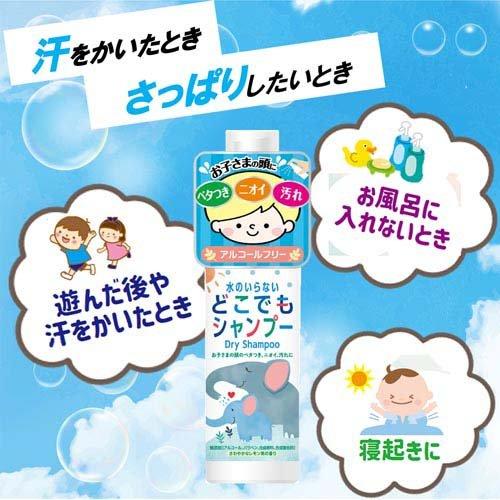 日本フイリン 水のいらないどこでもシャンプー ( 100ml ) : 爽快
