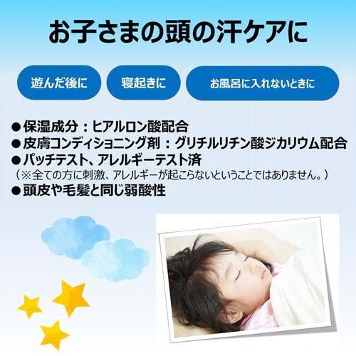 日本フイリン 水のいらないどこでもシャンプー ( 100ml ) : 爽快