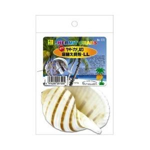 オカヤドカリの宿替え貝殻 Ll 1コ入 Sanko 三晃商会 爽快ドラッグ 通販 Yahoo ショッピング