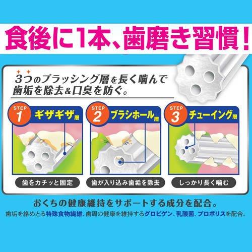 ホワイデント 長持ち歯みがき やわらかギザ棒ガム S ( 21本