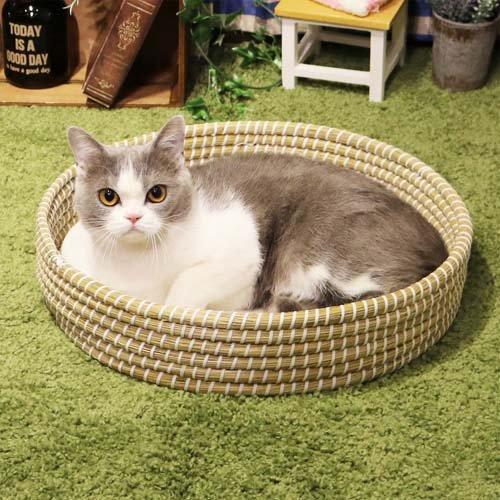 にゃんこのちぐらシリーズ まん丸おけ 夢 ( 1個 ) : 爽快ドラッグ