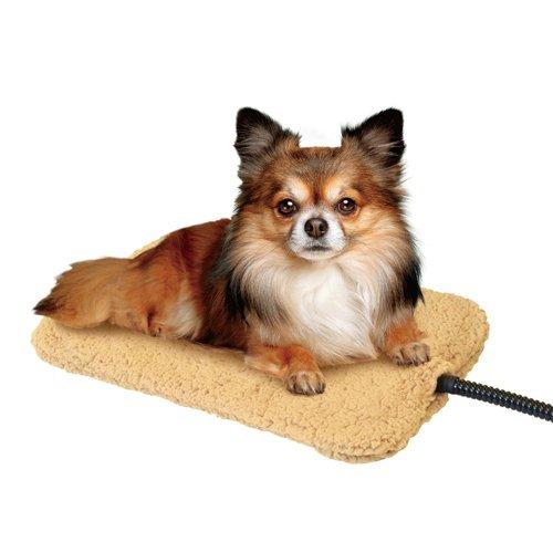 遠赤外線 ペットのヒーター テキオン ミニ ( 1個 )/ ドギーマン(Doggy