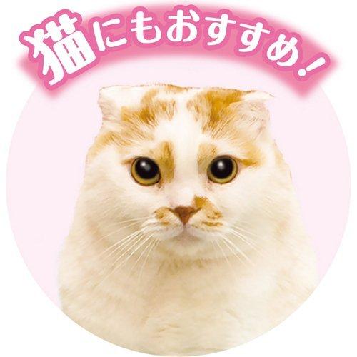 遠赤外線 ペットのヒーター テキオン ミニ ( 1個 )/ ドギーマン(Doggy