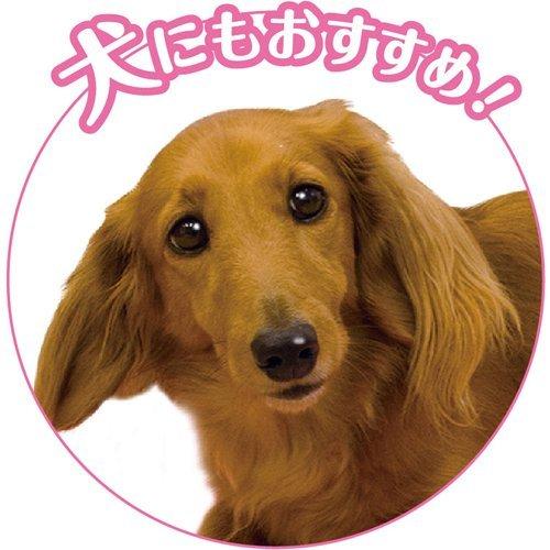 遠赤外線 ねこの夢こたつ ( 1個 )/ キャティーマン : 爽快ドラッグ