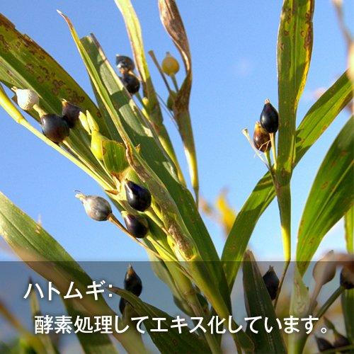ハトムギエキス末100% ( 145g )/ ファイン はとむぎ 美しさ きれい