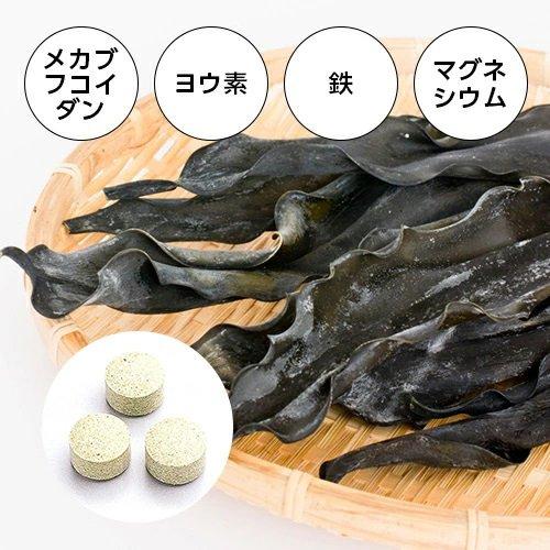 ファイン 根昆布エキス粒 ( 330mg*500粒 )/ メカブ フコイダン 食物