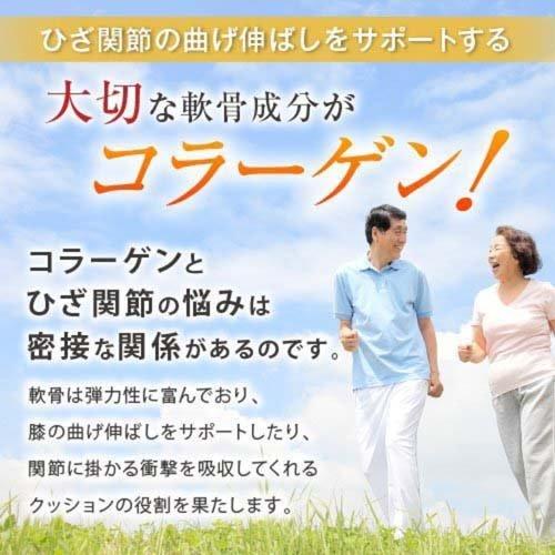 機能性表示食品 非変性活性II型コラーゲンUC-II ( 250mg*250粒