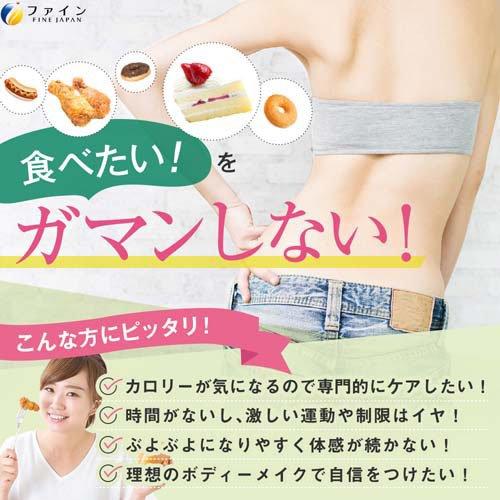 ファイン カロリー気にならない 脂質専用 30日分 ( 90粒入 )/ 糖質