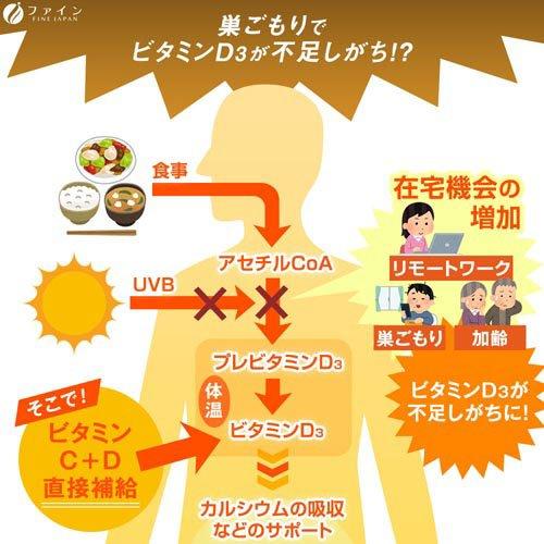 ファイン ビタミンC+D ( 650mg*60粒 )/ VitaminC 栄養機能食品 VC VD