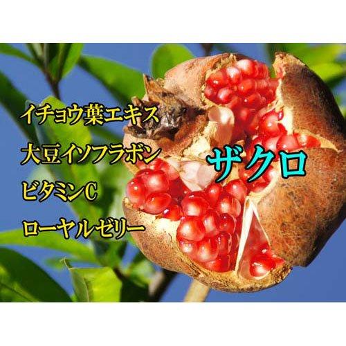 ザクロ粒 ( 150mg*450粒入 )/ ファイン : 爽快ドラッグ - 通販 - Yahoo