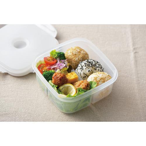 アクティア 保冷剤付フードボックス 正方形 D-6509 ( 1個 ) : 爽快