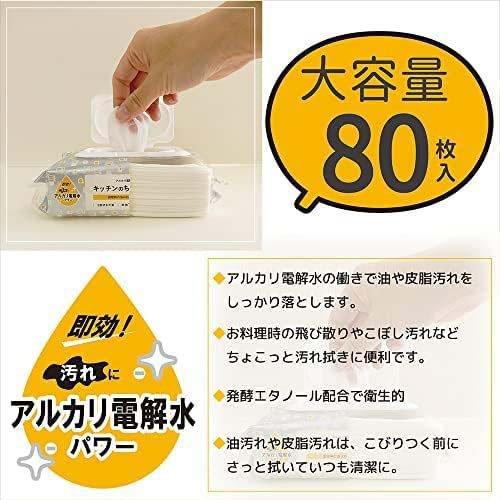服部製紙 アルカリ電解水クリーナー ちょこっと拭き キッチン用 NTA-2