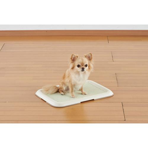 薄型しつけるトレー S アイボリー ( 1枚 )/ しつけるトレー : 爽快