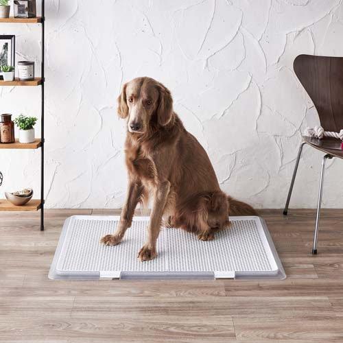 【新品/未使用品】CLEAR MESH XL 1個入り ボンビ ペットレー クリアメッシュ XL ( 1個 ) : 爽快ドラッグ - 通販
