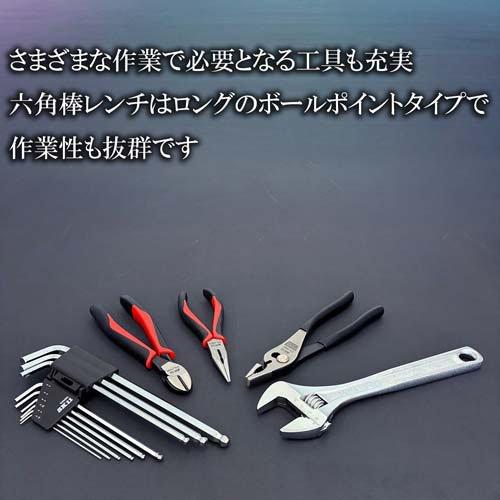 SK11 整備工具セット ブラック 117点 SST-19117BK 各種メンテナンス