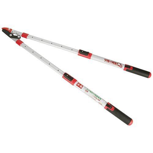 藤原産業 千吉 伸縮太枝切鋏 SGFL-6 ( 1個入 )/ 太枝対応 剪定ばさみ