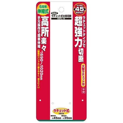 さだきち Ninja ZX-10R/KRT EDITION］2021年で大きく進化したNinja ZX-10R