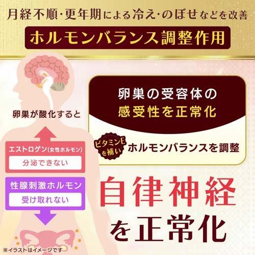 第3類医薬品)ユベラックスα2 ( 240カプセル )/ ユベラックス 更年期