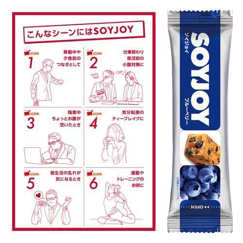 SOYJOY(ソイジョイ)ブルーベリー ( 30g*48本入 )/ SOYJOY(ソイジョイ