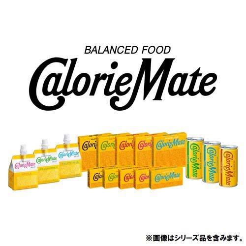カロリーメイト ブロックタイプ フルーツ味 ( 4本入*30コセット カロリーメイト ブロックタイプ フルーツ味 ( 4本入*30コセット