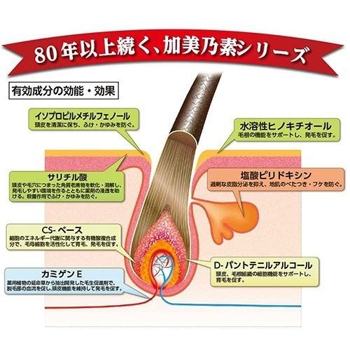加美乃素A 無香料タイプ ( 200ml )/ 加美乃素 : 爽快ドラッグ - 通販