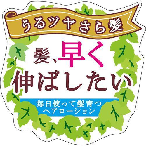 ヘアアクセルレーター スウィートオレンジの香り 150ml ヘア