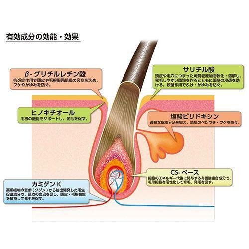 ヘアアクセルレーター スウィートオレンジの香り 150ml ヘア
