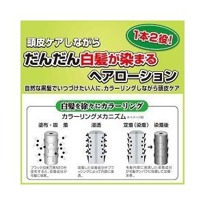 ブラック加美乃素ネオ 無香料 ( 150ml )/ 加美乃素 養毛料 染毛料 白髪