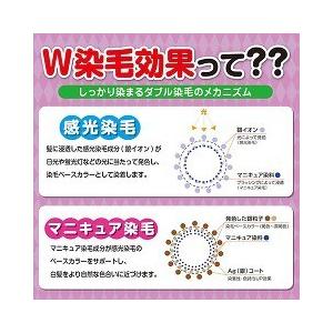 カミクローネ(DB) 自然な黒褐色 ( 80ml )/ カミクローネ 白髪隠し