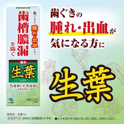 薬用歯みがき 生葉 ( 100g )/ 歯槽膿漏を防ぐ 和漢ハーブの香味 薬用 
