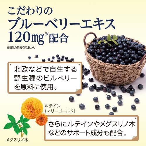 小林製薬 ブルーベリー ルテイン メグスリノ木 30日分 6袋 ブルーベリー ルテイン メグスリノ木 約30日分 ( 60粒入り )/ 小林製薬