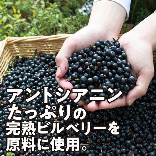 ブルーベリー 約60日分 読書やパソコン、テレビをよく見る方へ 目の