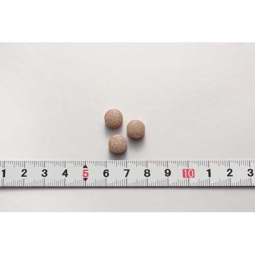 サラシア100 約20日分 食後の血糖値が高めの方に ( 60粒入り )/ 小林