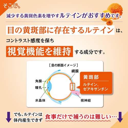 ルテイン 約30日分 ぼやけ・かすみ対策 ( 30粒入り )/ 小林製薬の機能