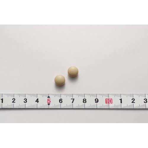 すっぽん高麗人参 約30日分 いつまでもエネルギッシュな毎日を送りたい
