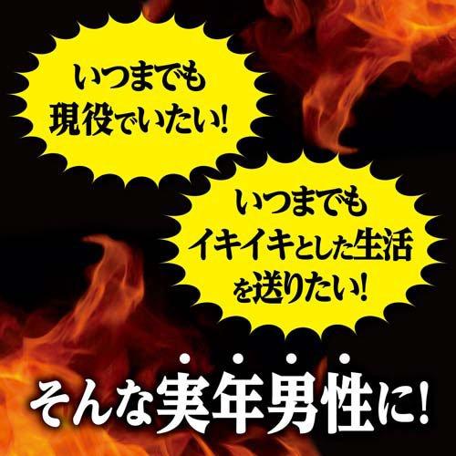 マカ・亜鉛 PREMIUM 約30日分 エネルギッシュな生活を送りたい男性に