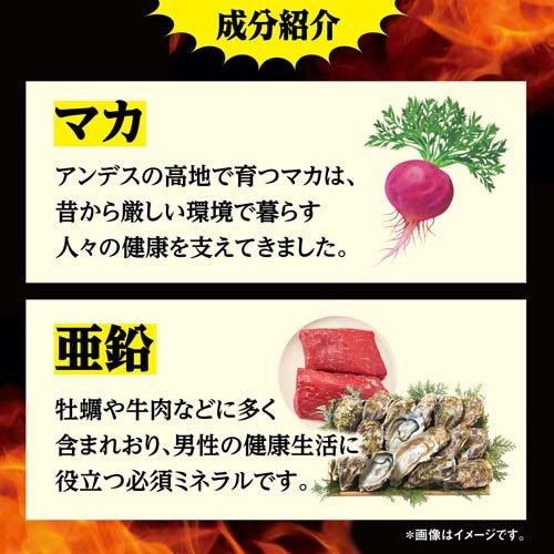 マカ・亜鉛 PREMIUM 約30日分 エネルギッシュな生活を送りたい男性に