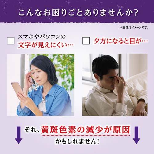 ルテイン 約60日分 ぼやけ・かすみ対策 ( 60粒入り )/ 小林製薬の機能